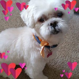 Meet your Posher, Nancy